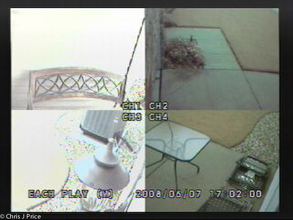 Flood As It Happened June 2008