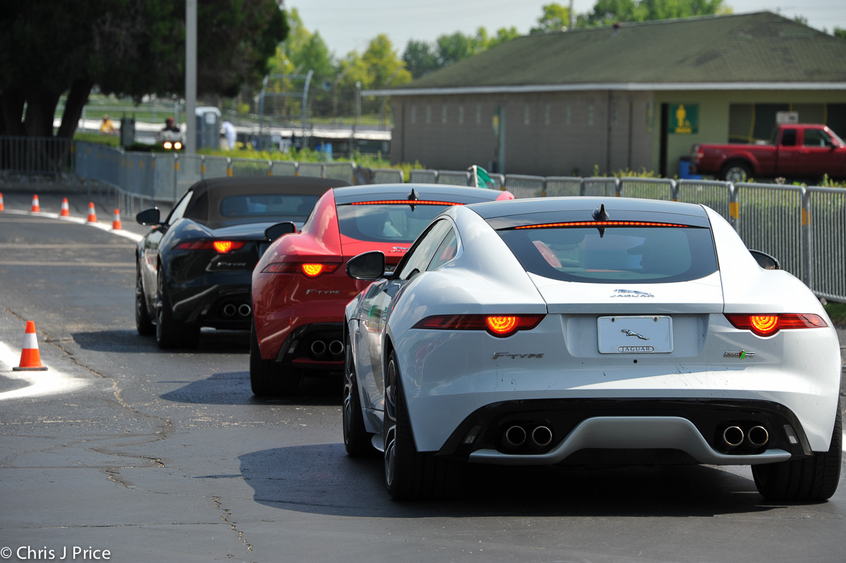 F-Types lined up ready at the autocross